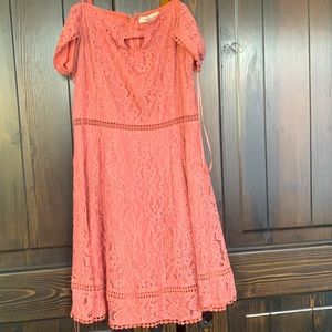 Francesca’s collection delightful lace dress